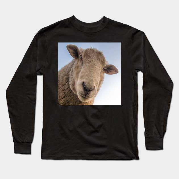 Funny Sheep Lover Design Are You Looking At Me? Funny Sarcasm Farmhouse Decor & Gifts Long Sleeve T-Shirt by tamdevo1